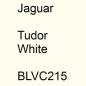 Preview: Jaguar, Tudor White, BLVC215.